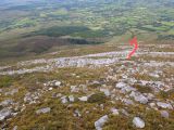 Photo of Nephin
