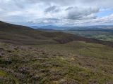 Photo of Nephin