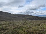 Photo of Nephin