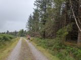 Photo of Kylebrack Woods
