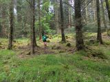 Photo of Kylebrack Woods