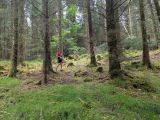 Photo of Kylebrack Woods