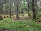 Photo of Kylebrack Woods