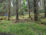 Photo of Kylebrack Woods