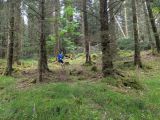 Photo of Kylebrack Woods