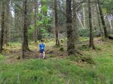 Photo of Kylebrack Woods