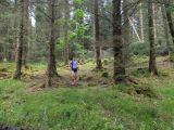 Photo of Kylebrack Woods