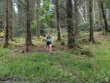 Photo of Kylebrack Woods