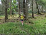 Photo of Kylebrack Woods