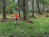 Photo of Kylebrack Woods