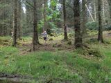 Photo of Kylebrack Woods