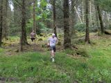 Photo of Kylebrack Woods