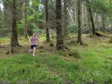 Photo of Kylebrack Woods