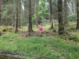 Photo of Kylebrack Woods