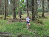 Photo of Kylebrack Woods