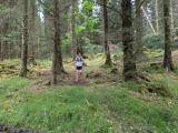 Photo of Kylebrack Woods