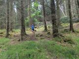 Photo of Kylebrack Woods