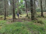 Photo of Kylebrack Woods