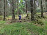 Photo of Kylebrack Woods