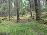 Photo of Kylebrack Woods