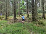 Photo of Kylebrack Woods