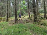 Photo of Kylebrack Woods