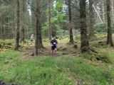 Photo of Kylebrack Woods
