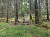 Photo of Kylebrack Woods