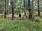 Photo of Kylebrack Woods