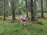 Photo of Kylebrack Woods