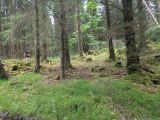 Photo of Kylebrack Woods