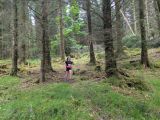 Photo of Kylebrack Woods