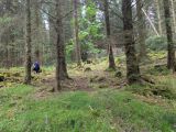 Photo of Kylebrack Woods