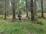 Photo of Kylebrack Woods