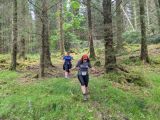 Photo of Kylebrack Woods
