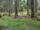 Photo of Kylebrack Woods