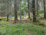 Photo of Kylebrack Woods