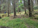Photo of Kylebrack Woods