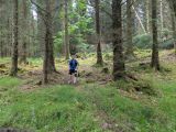 Photo of Kylebrack Woods