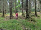 Photo of Kylebrack Woods