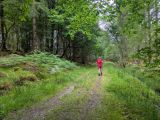 Photo of Kylebrack Woods