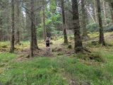 Photo of Kylebrack Woods