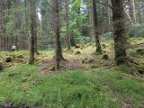 Photo of Kylebrack Woods