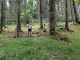 Photo of Kylebrack Woods