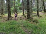 Photo of Kylebrack Woods
