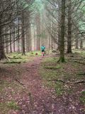 Photo of Kylebrack Woods