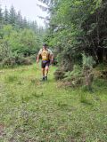 Photo of Kylebrack Woods