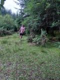 Photo of Kylebrack Woods
