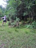 Photo of Kylebrack Woods
