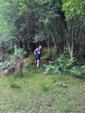 Photo of Kylebrack Woods